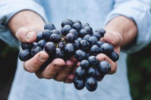 Las uvas como alimento saludable de otoño